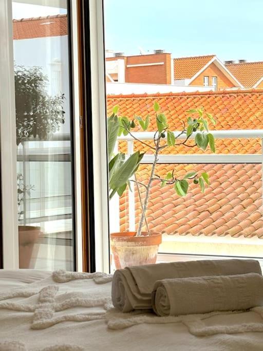 Nazare Boutique W Sea View And Private Rooftop Terace Экстерьер фото