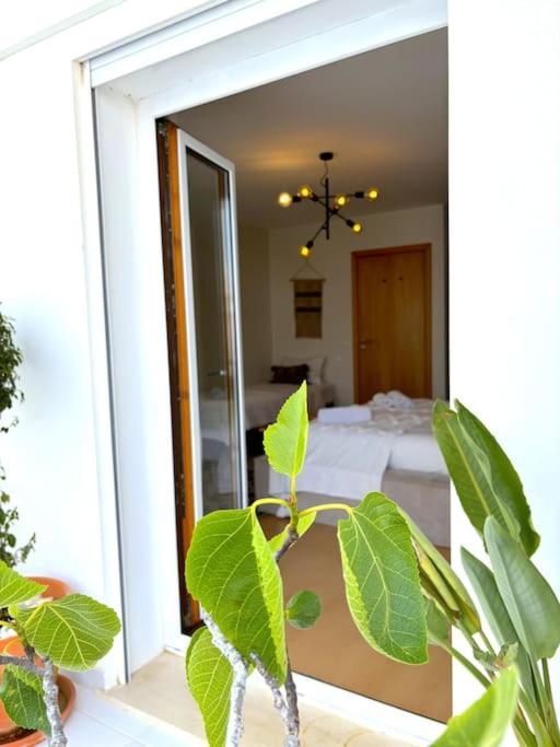 Nazare Boutique W Sea View And Private Rooftop Terace Экстерьер фото